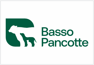 basso