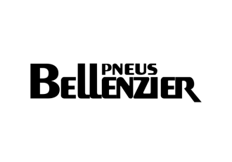 EXPOSITOR FEIRA - BELLENZIER (2)
